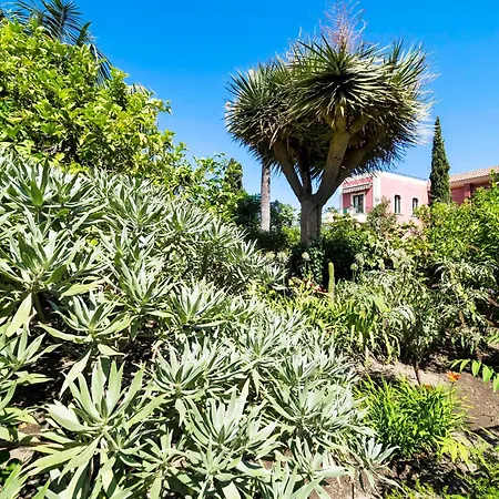 Schuler Center Garden In Self-catering Villa *