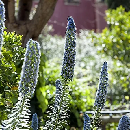 Schuler Center Garden In Self-catering